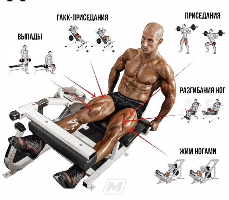 Прогрессия веса